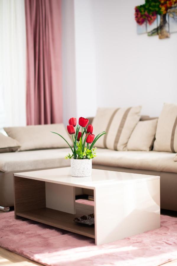 Claseb Apartment Timisoara Ngoại thất bức ảnh